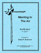 Meeting in the Air Flute Solo cover